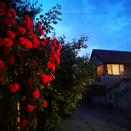 Cristalex Villaverde Bucharest Pantelimon 외부 사진