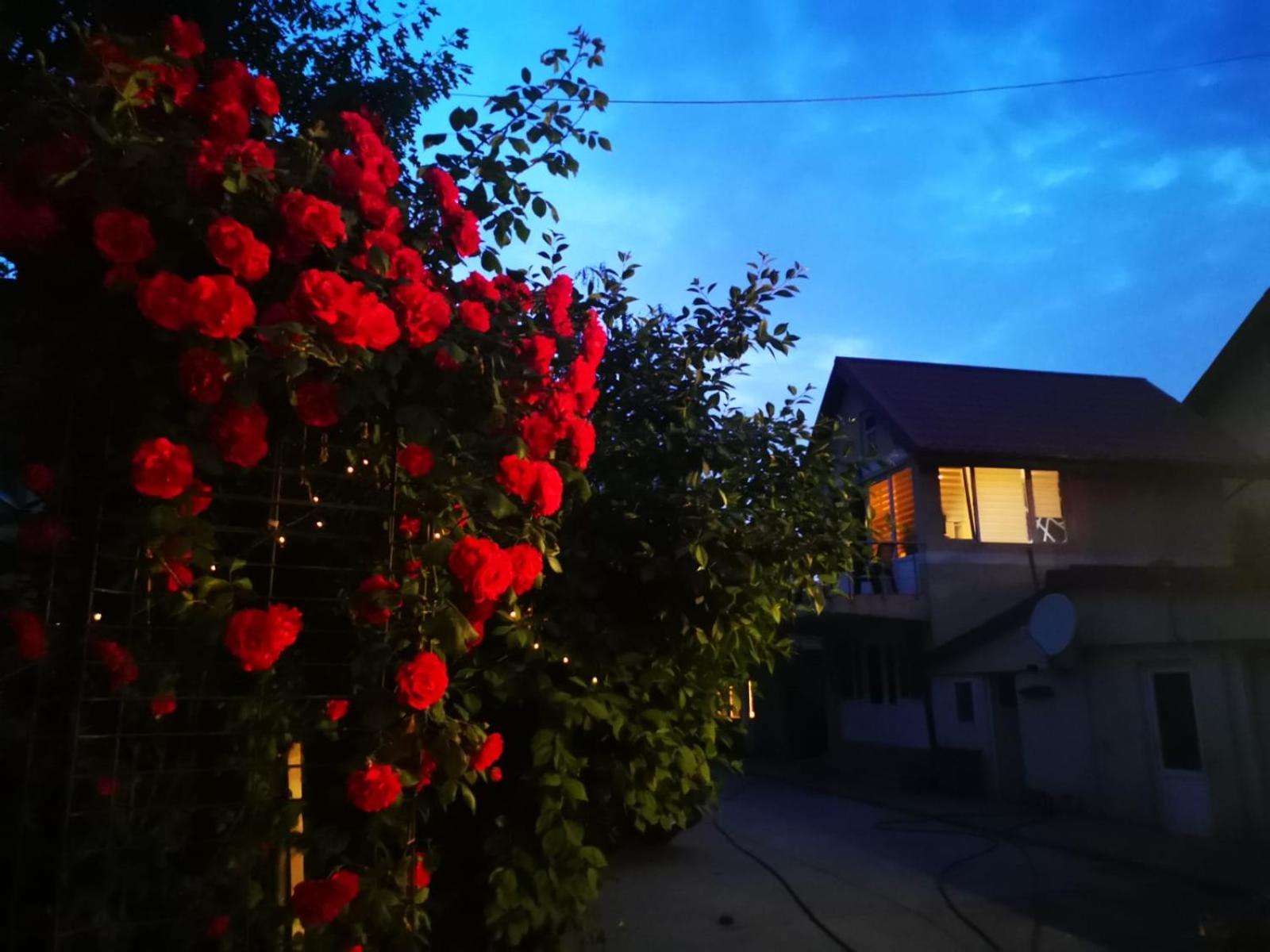 Cristalex Villaverde Bucharest Pantelimon 외부 사진